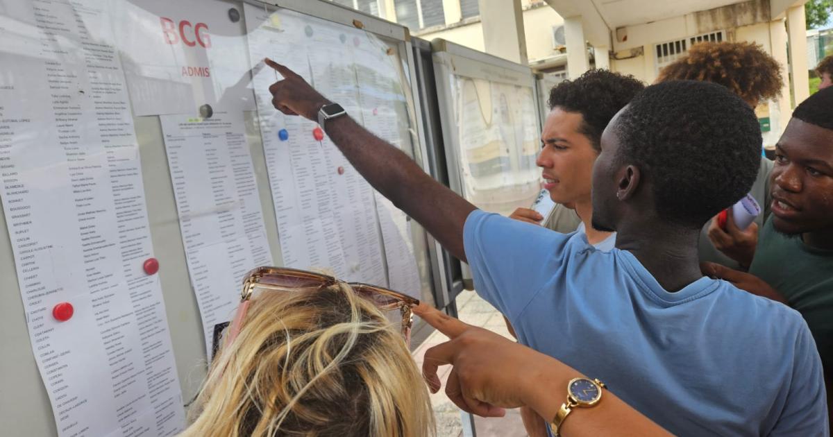     Bac 2025 : 82 % de réussite au premier groupe en Martinique

