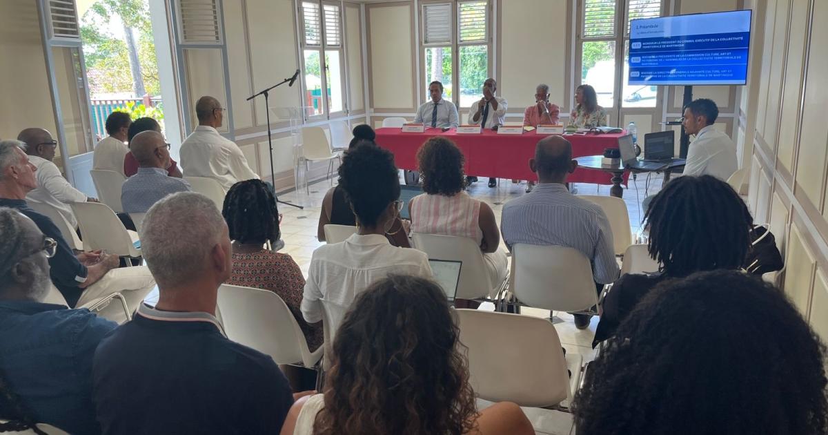     La CTM retient 58 propositions pour aider le monde artistique en Martinique

