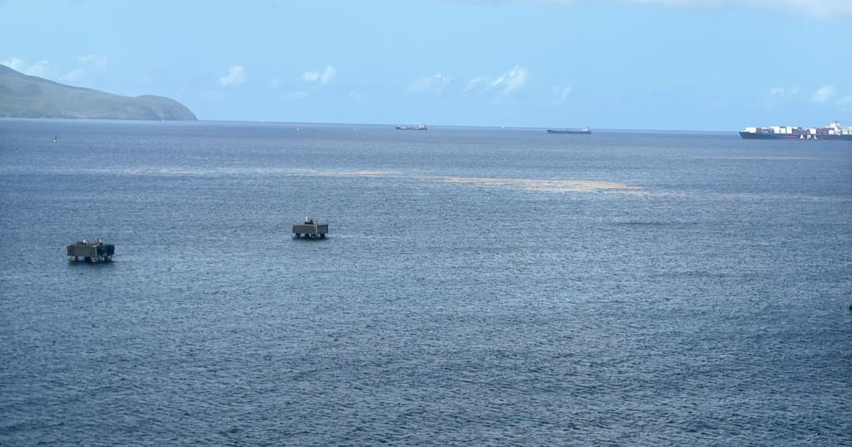     Les sargasses approchent de la côte Caraïbe

