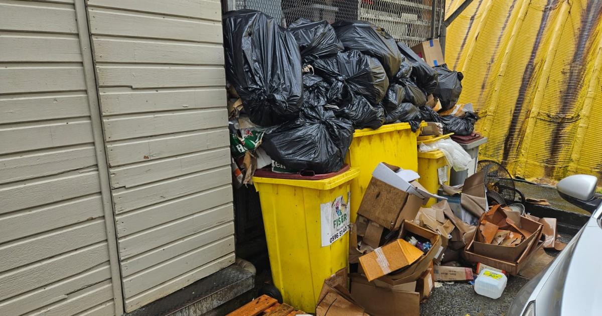     Face à la prolifération des rats, des commerçants livrés à eux-mêmes

