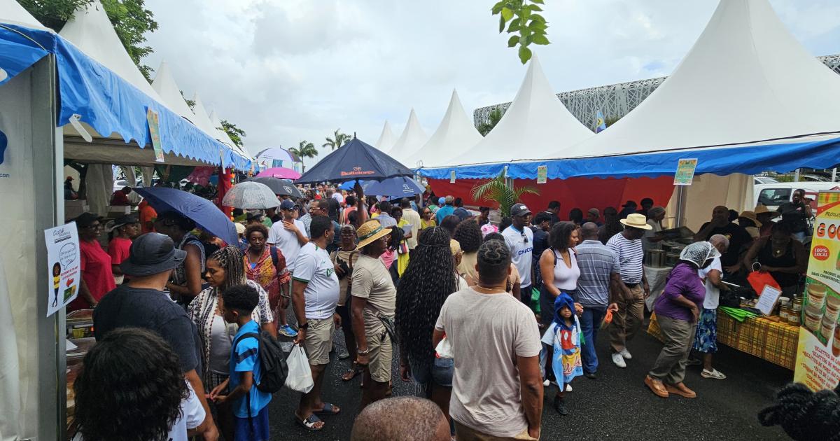     Le Festival du Colombo a célébré la diversité culinaire et culturelle à Pointe-à-Pitre

