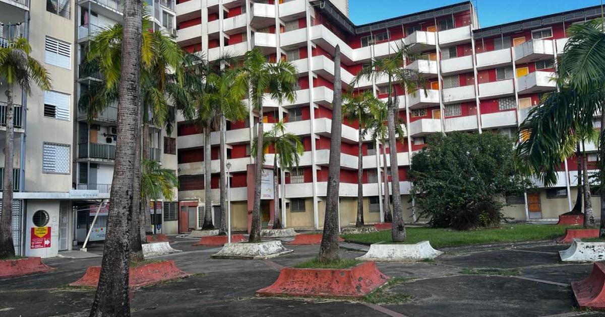     453 nouveaux logements sociaux financés aux Antilles-Guyane

