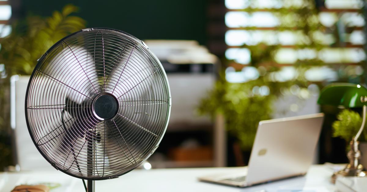     Ce qui change au 1er juillet 2025 : emploi, santé au travail et lutte contre la fraude

