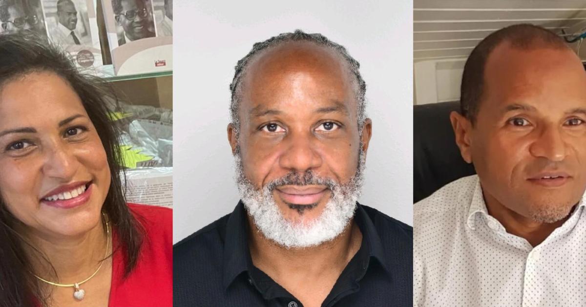     Trois Martiniquais nommés conseillers du commerce extérieur de la France

