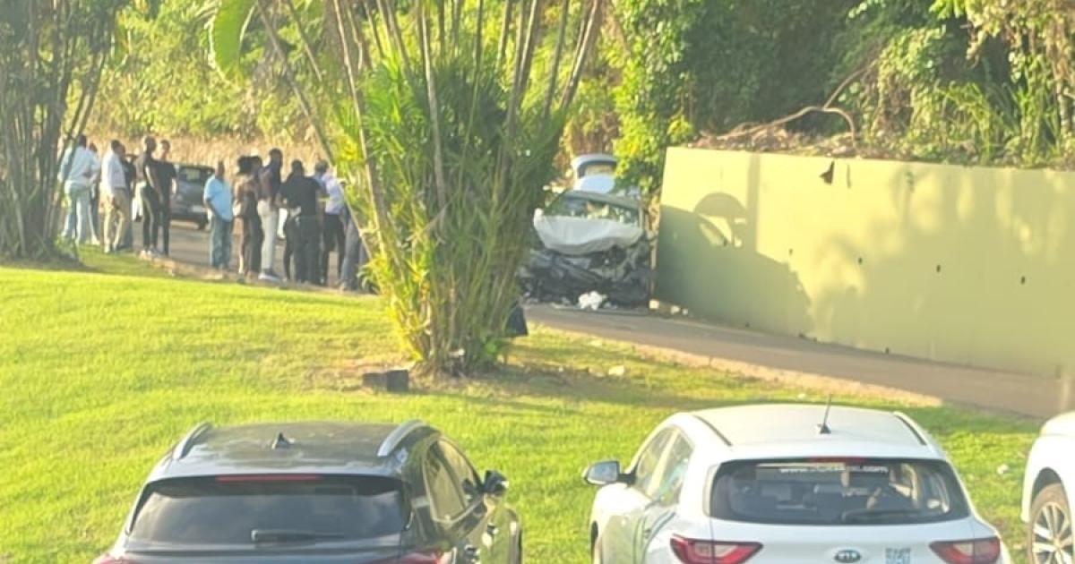     Un essai de voiture vire au drame au Lamentin : une septuagénaire décède après un accident

