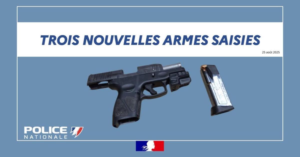     Trois armes à feu saisies en trois jours par les forces de l’ordre en Guadeloupe

