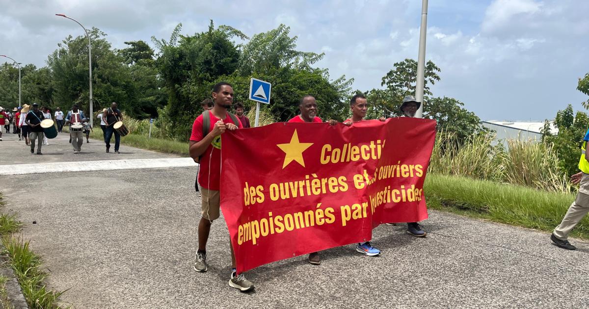     Marche en soutien aux ouvriers agricoles victimes du chlordécone au Lamentin


