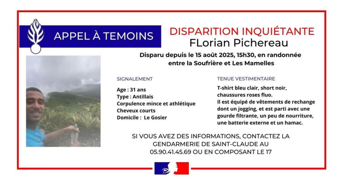     Appel à témoins après la disparition de Florian Pichereau lors d’une randonnée

