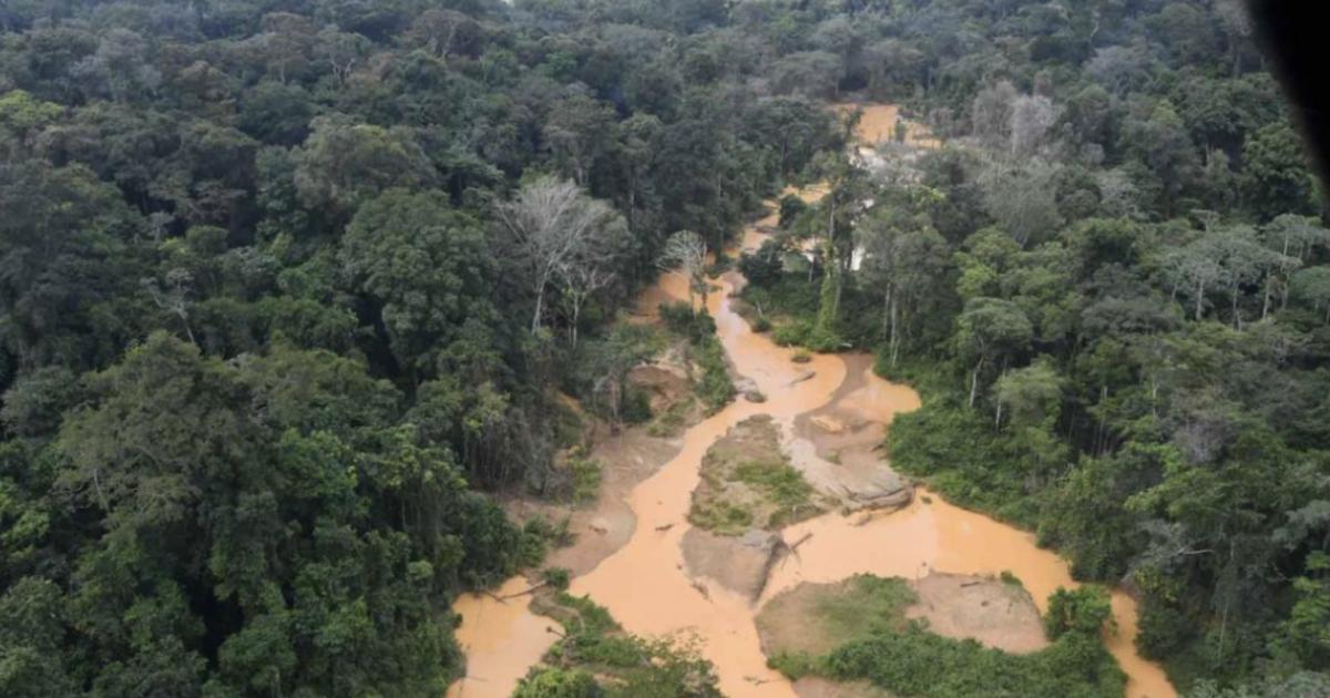     Le Secours Catholique alerte sur la situation en Guyane, à la veille de la COP 30

