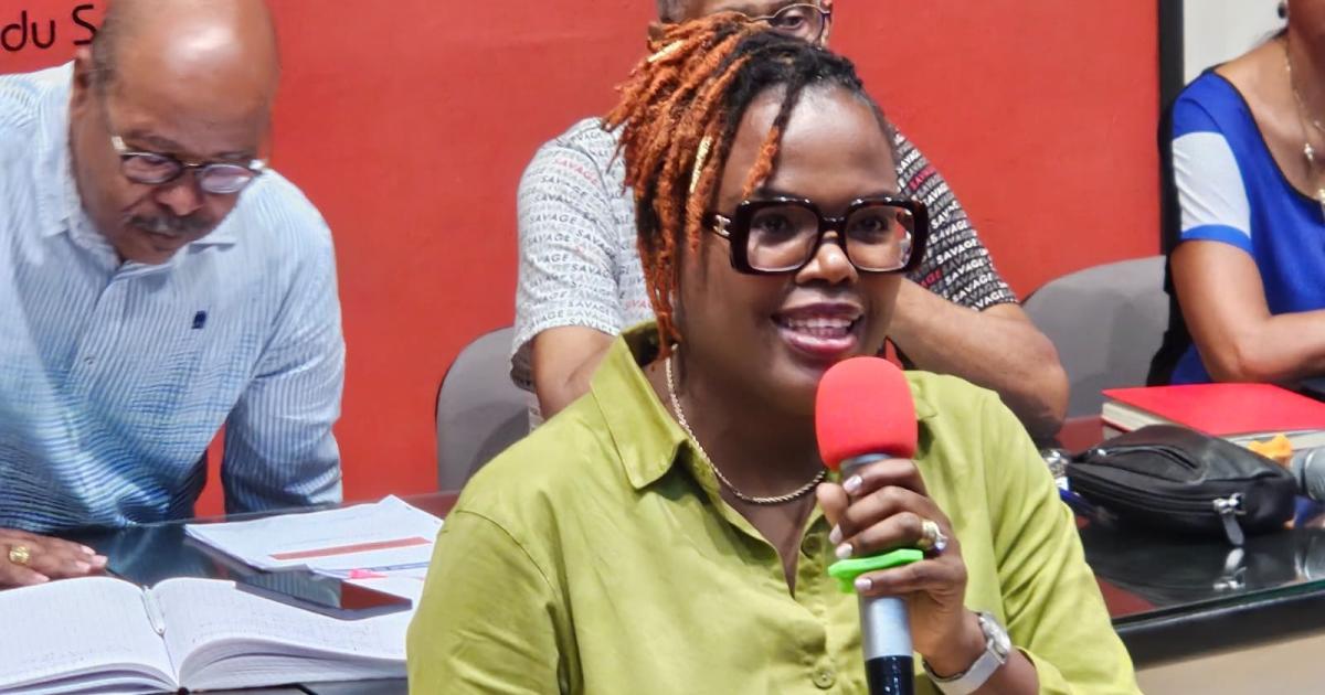     Jacqueline de Percin élue présidente de la ligue de handball de Martinique

