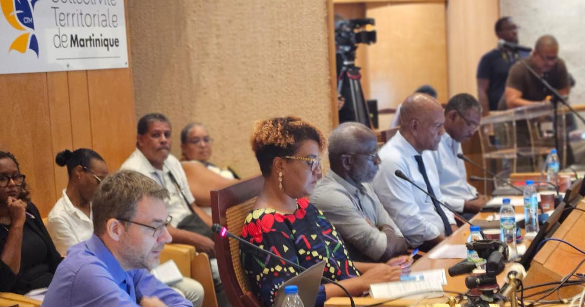     Cyclones : la CTM réunit les maires et les EPCI de Martinique pour anticiper les risques

