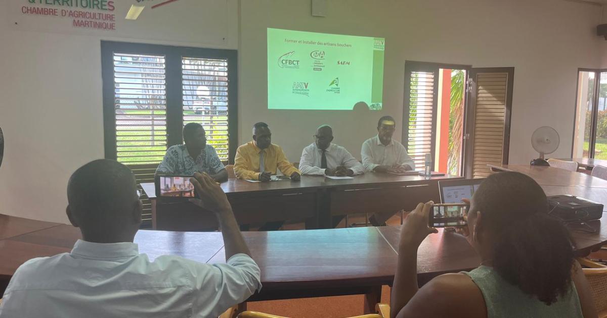     Un CAP Boucherie artisanale bientôt lancé en Martinique

