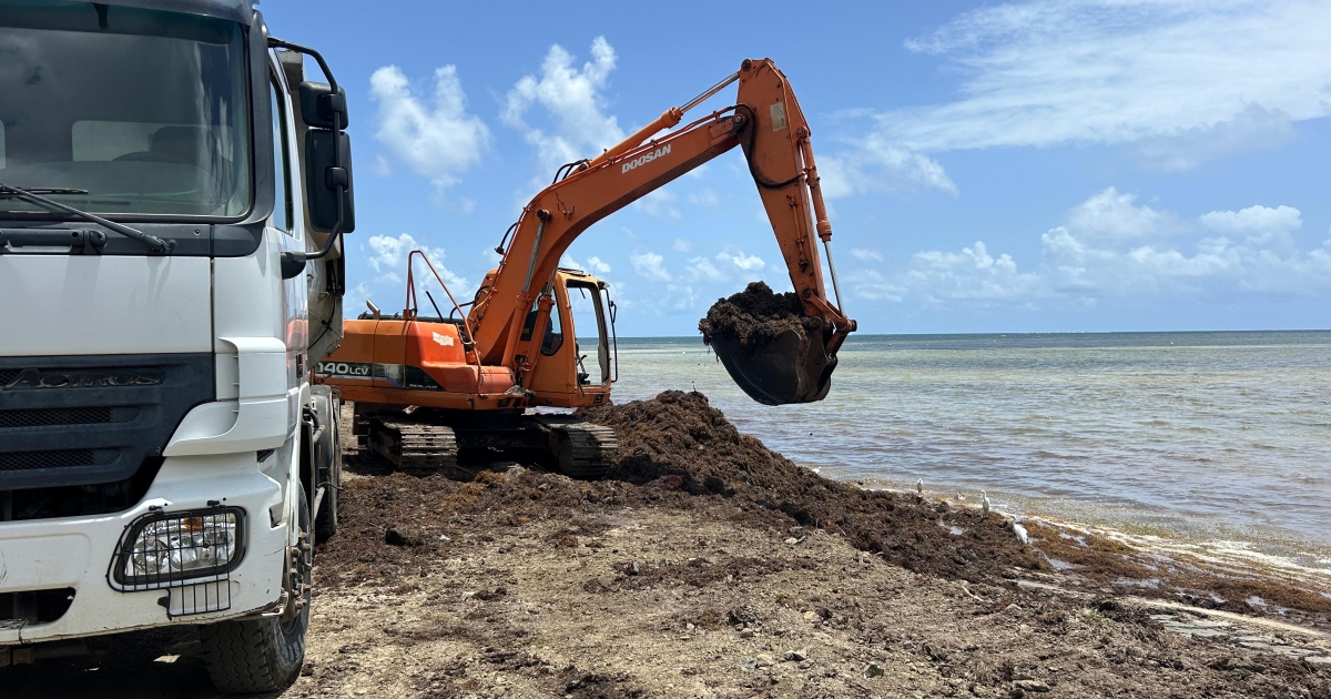     La ministre des Outre-mer prend des engagements pour lutter contre les sargasses 

