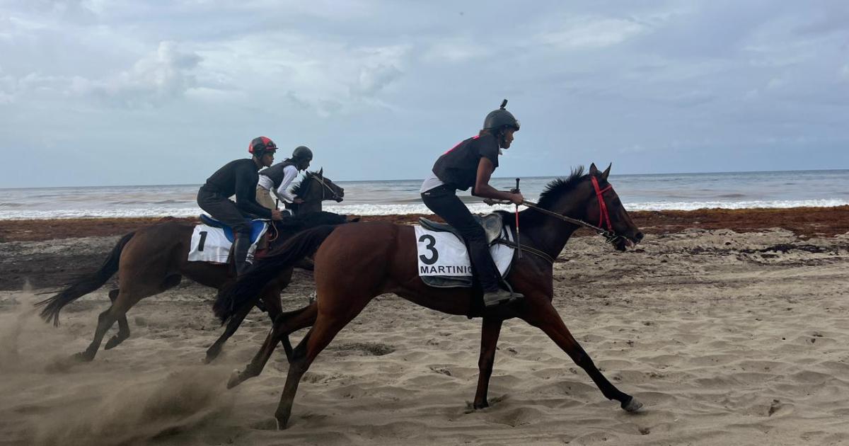    [EN IMAGES ] La traditionnelle course de chevaux de Sainte-Marie toujours aussi populaire

