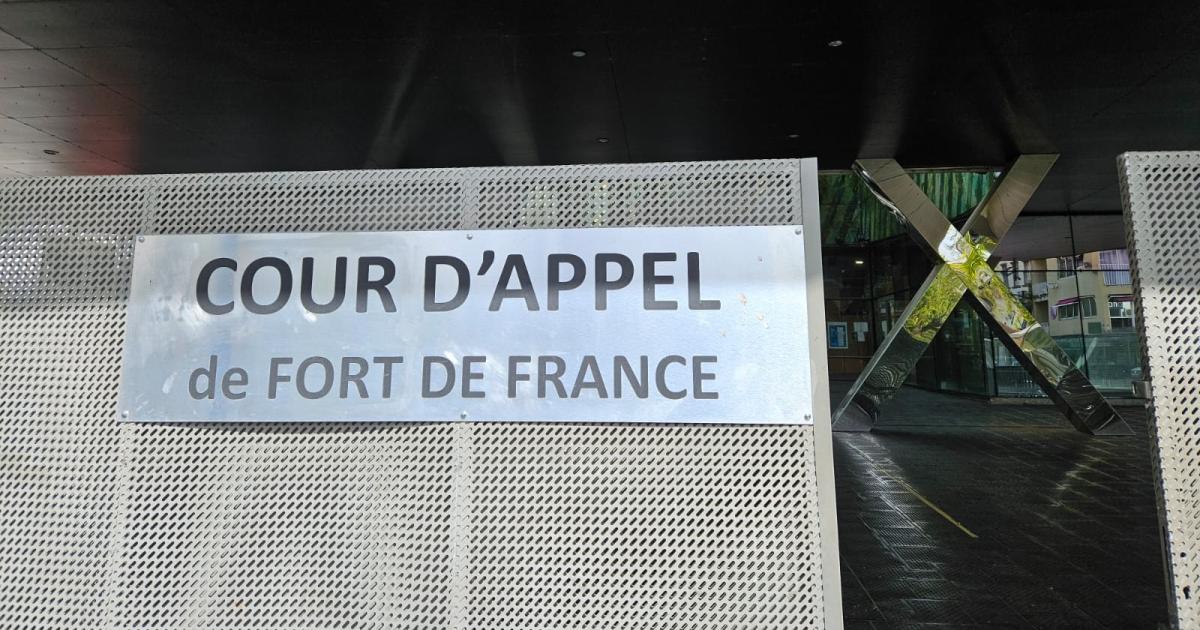     TCSP : des élus jugés devant la cour d'appel dans l'affaire de la SODEM

