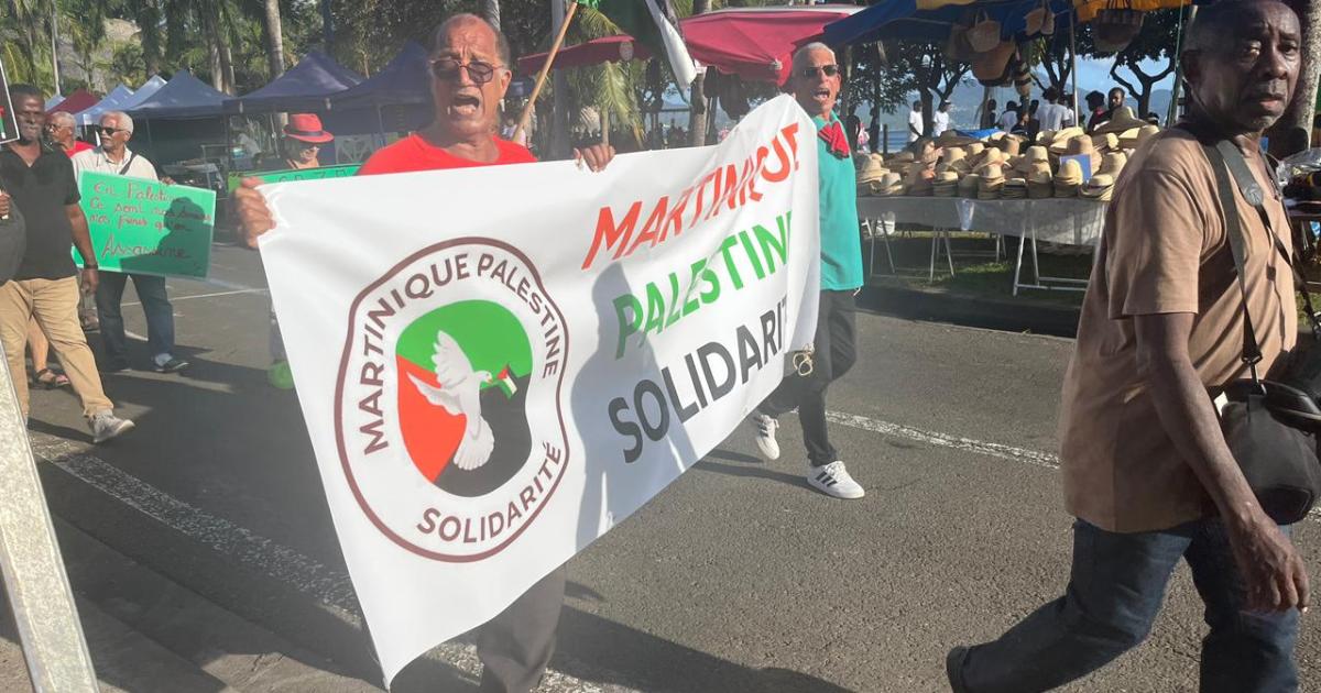     Mobilisation à Fort-de-France pour dire stop à la situation en Palestine

