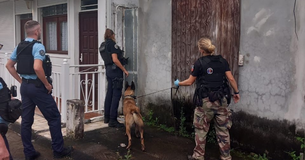     À Morne-à-l'Eau, saisie de stupéfiants, infractions routières, manquements à l'hygiène

