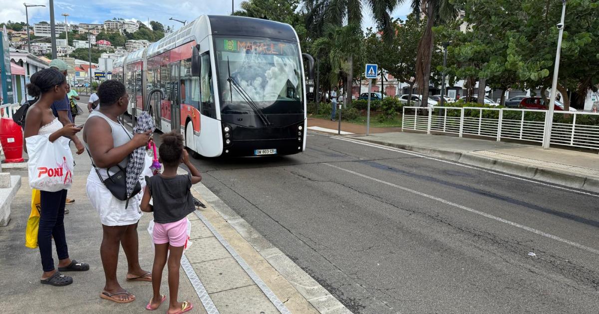     TCSP : modification des premiers et derniers départs des lignes A et B

