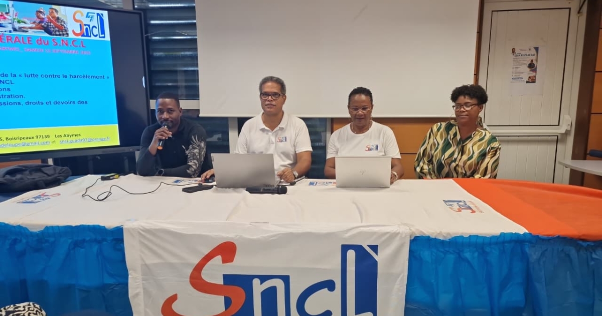     Rentrée scolaire 2025 : « Il manque des professeurs », constate le SNCL

