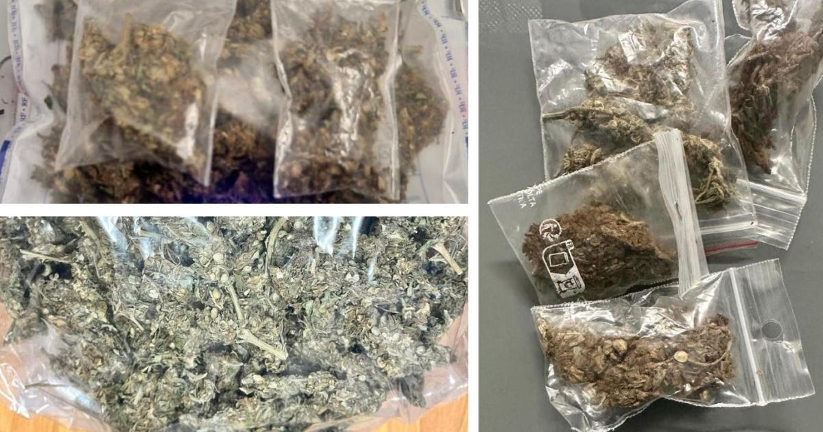     Cannabis : série de saisies en Grande-Terre lors d’opérations de la gendarmerie

