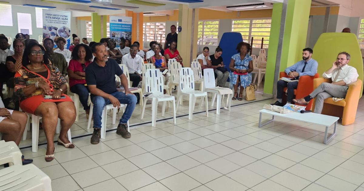     Coup de projecteur sur l’enseignement agricole et ses débouchés en Martinique 

