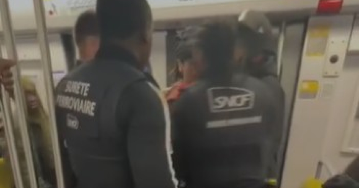     Contrôle musclé dans le métro à Paris : les parents d’un jeune guadeloupéen s'insurgent

