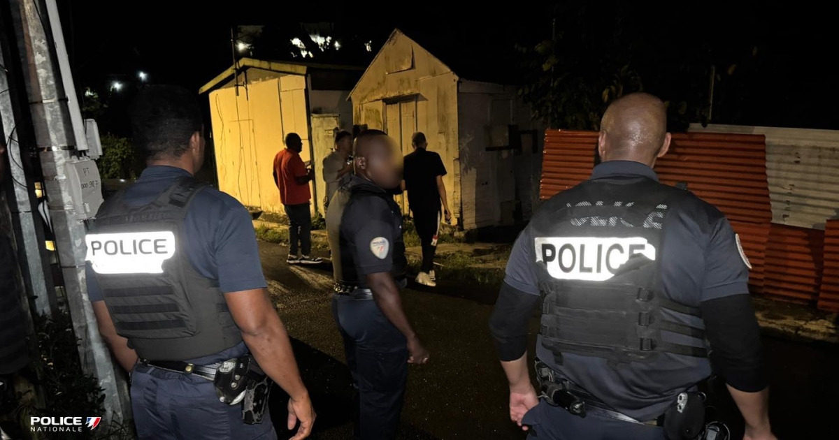     Un Dominiquais interpellé avec de la drogue, une arme saisie chez lui

