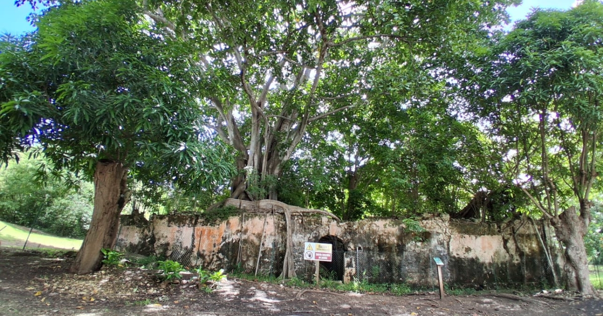     [ EN IMAGES ] Avec la réhabilitation de l'ancienne prison, un bout de l'histoire de Petit-Canal prend vie

