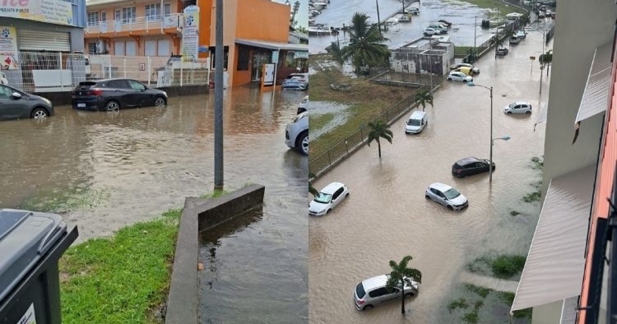     [Vidéos] Chute d'arbres et montée des eaux : de fortes averses orageuses arrosent la Martinique

