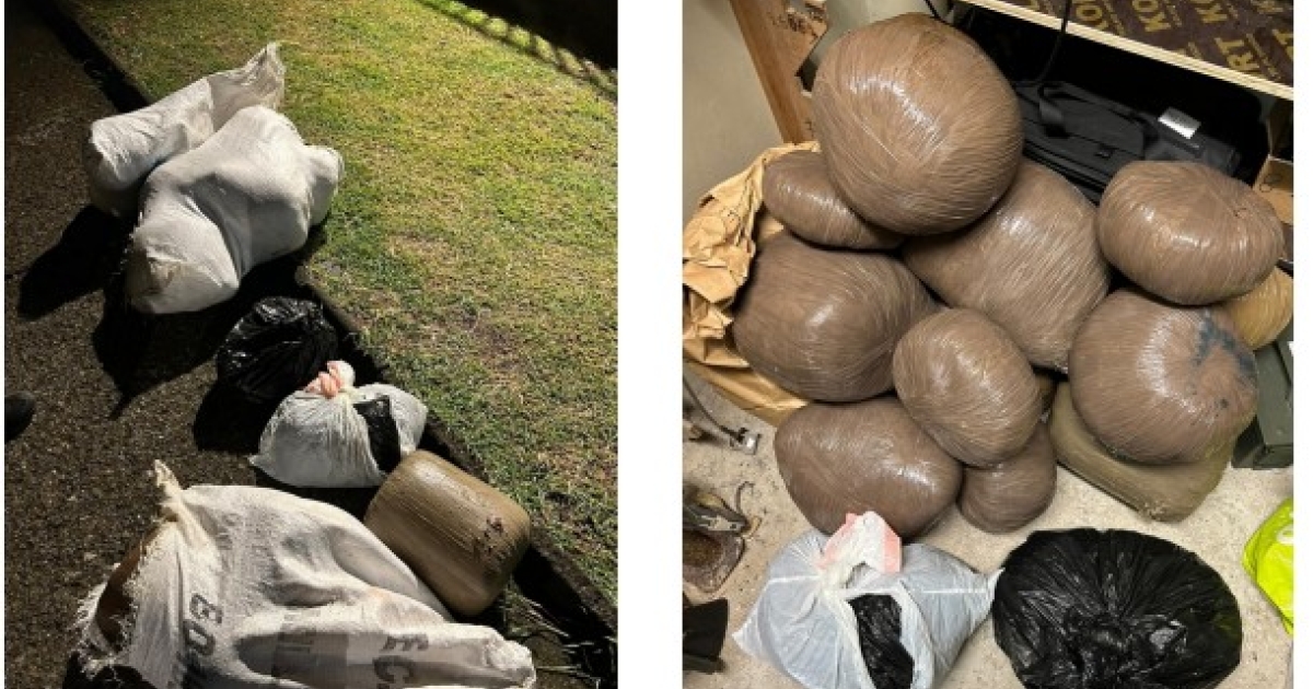     Opération Scotopélia : 55 kilos de cannabis saisis dans le Sud de la Martinique

