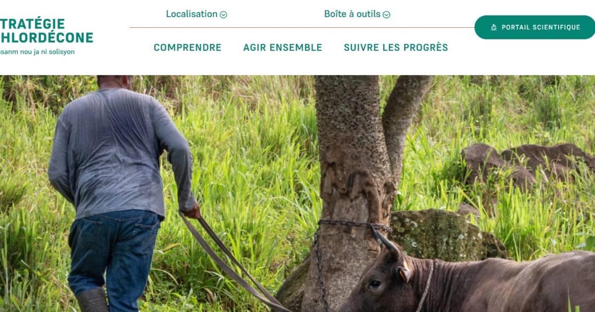     Portail numérique chlordécone : un outil pour mieux s'informer

