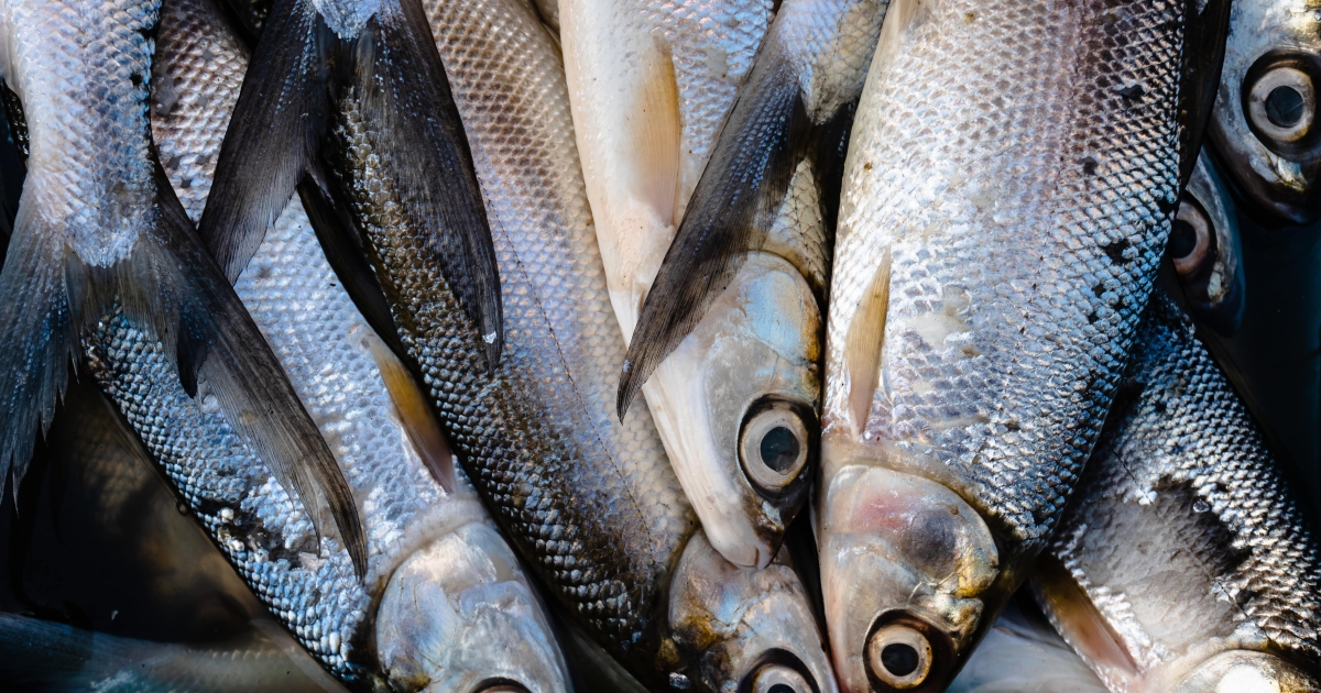     Reconstruction de l’APIT du Robert : entre soulagement et frustration

