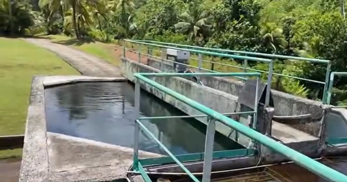     Chlordécone : des travaux de remplacement du filtre à charbon de l'usine de Dugommier à Trois-Rivières 

