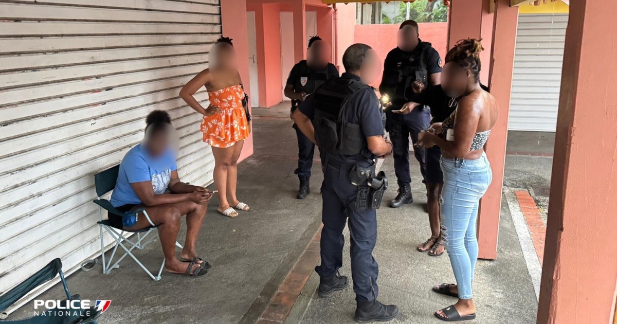     Une personne interpellée suite à une opération de contrôle à Basse-Terre

