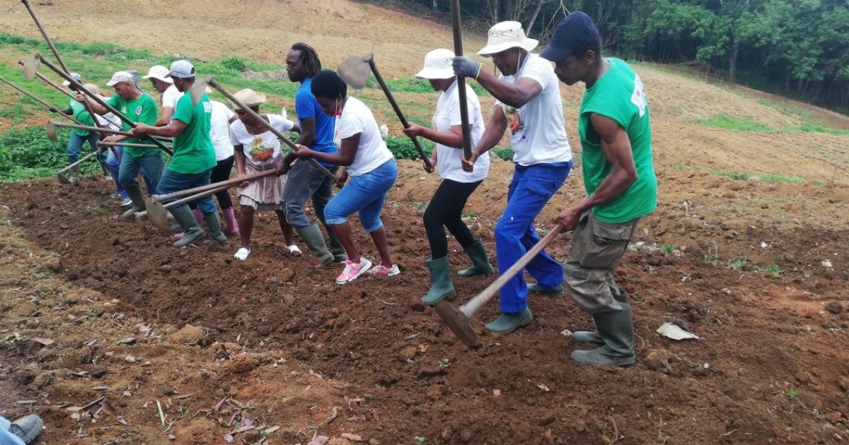     En redressement judiciaire, l’association Lasotè réclame 430 000 euros à la CTM

