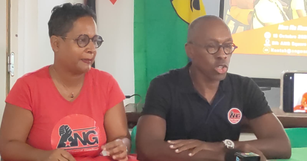     L’Alyans Nasyonal Gwadloup en ordre de bataille pour les municipales de 2026

