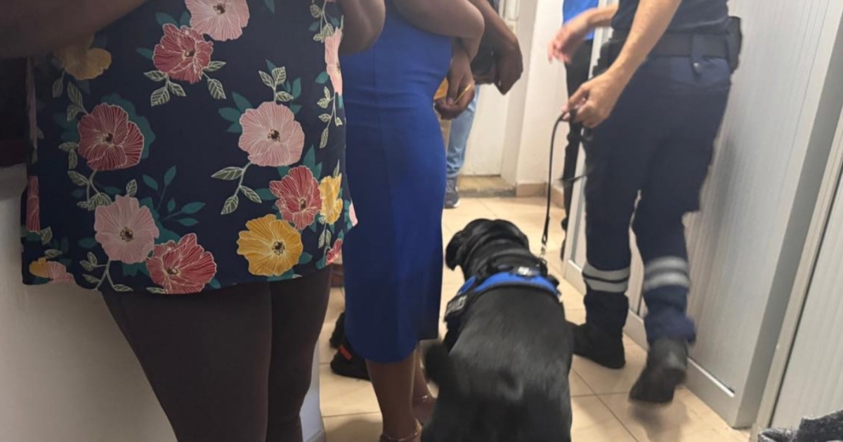     Contrôle renforcé aux parloirs de la maison d’arrêt de Basse-Terre

