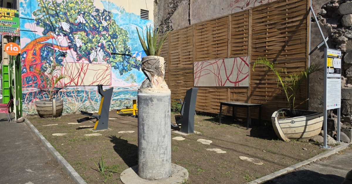     « Racines Vivantes » : quand l’art réinvente l’espace public à Basse-Terre

