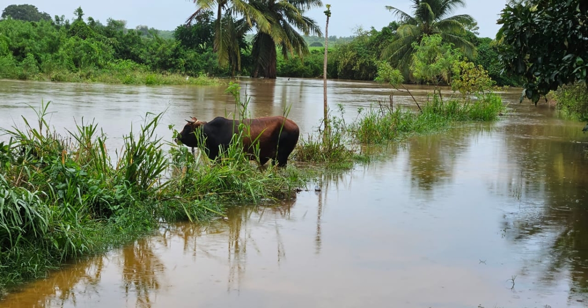     Tempête Jerry : le risque de fortes pluies diminue, la Guadeloupe de nouveau en orange

