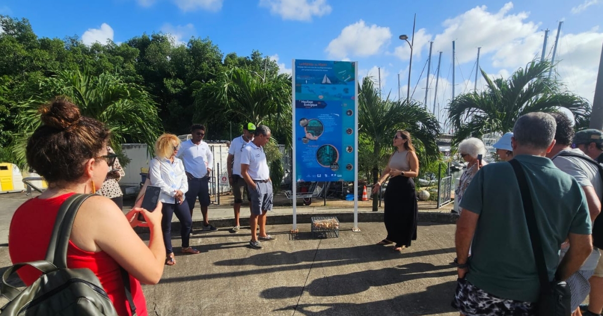     Tourisme durable : la Martinique associée au projet européen “Twinned by Stars”

