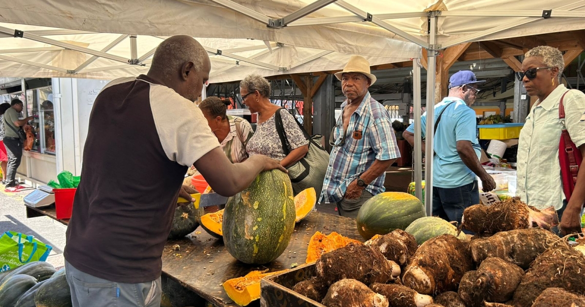     Le “Marché en folie” a ouvert ses portes à Fort-de-France

