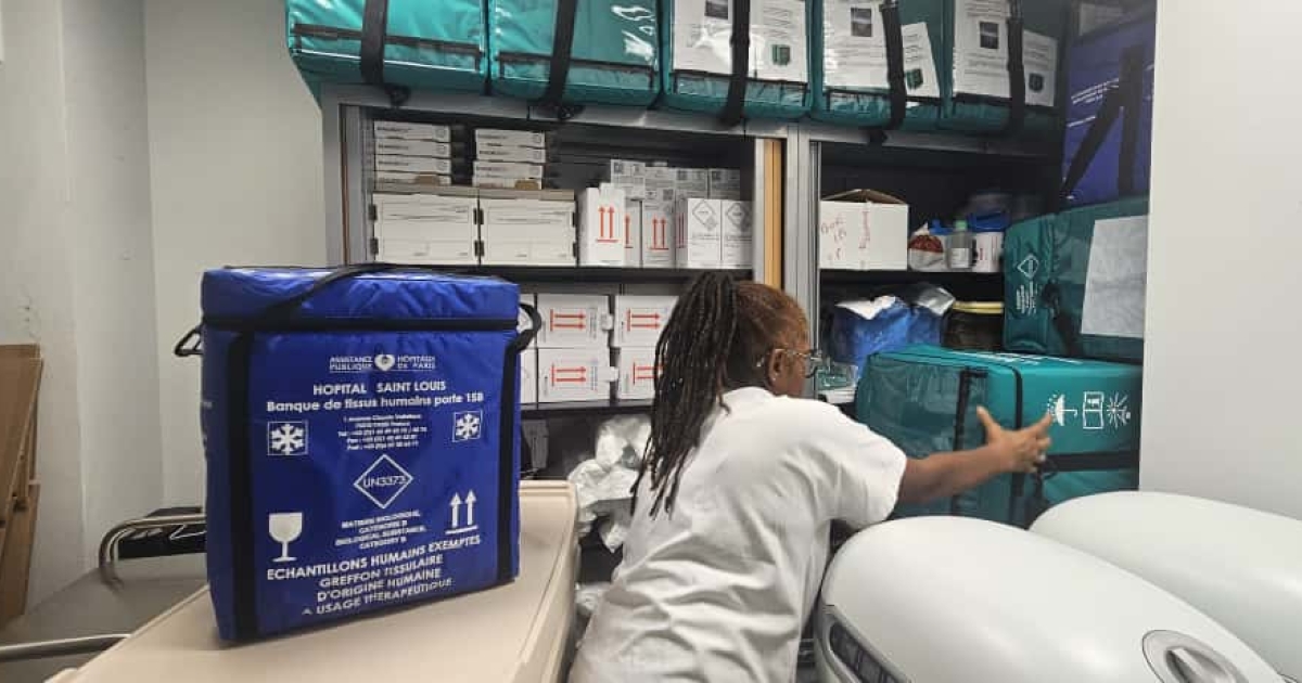     Journée internationale du don d’organes : plus de 150 patients attendent une transplantation en Martinique

