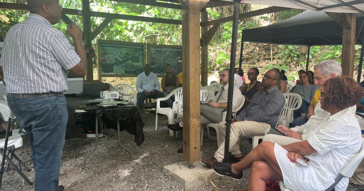     Stratégie Chlordécone 2025 : 19 lauréats récompensés pour leurs projets en Martinique

