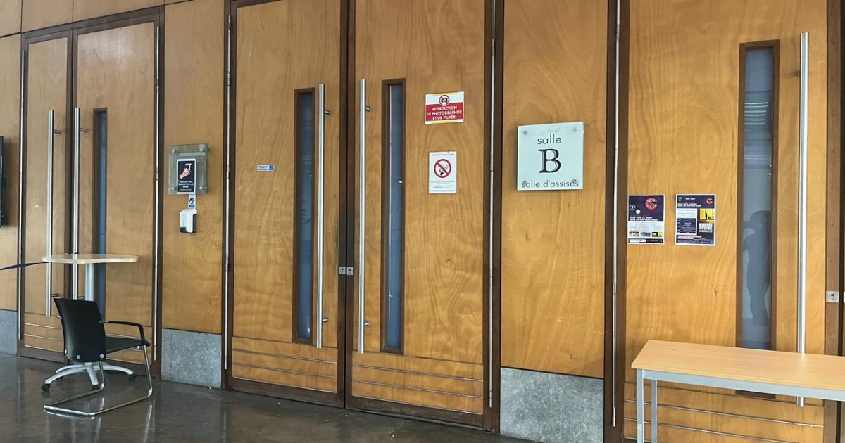     Procès pour tentative d’infanticide : l’experte psychiatre retrace le parcours chaotique de l’accusée

