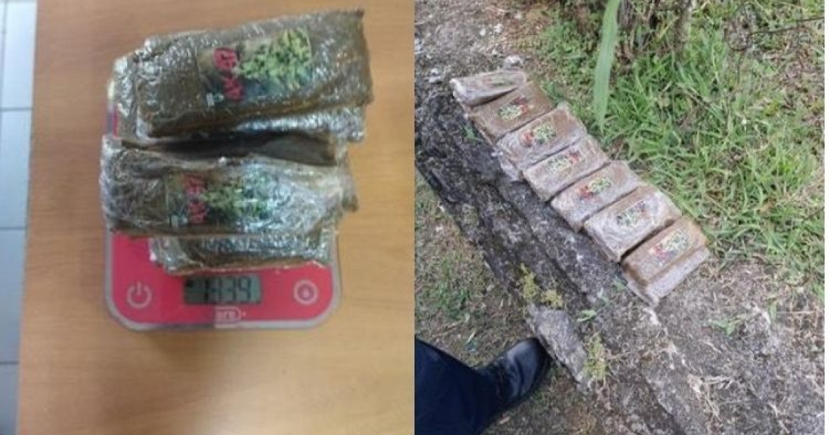     1,3 kilo de résine de cannabis découvert lors d’une opération de gendarmerie à Saint-Joseph

