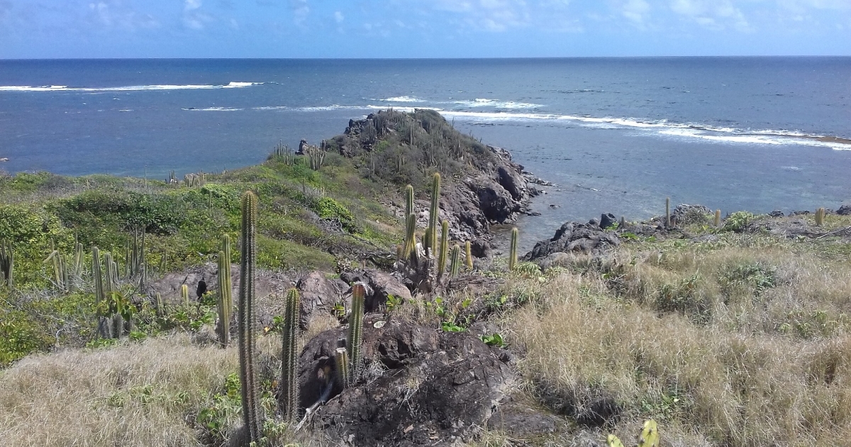     Dix personnes secourues après un accident de bateau à Sainte-Anne

