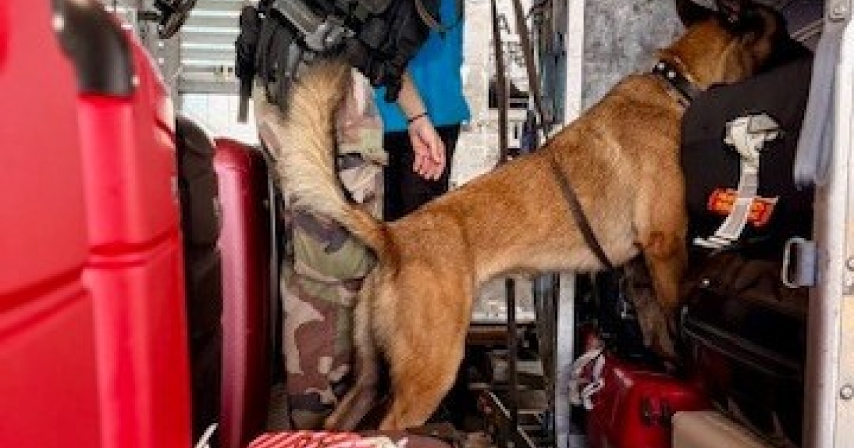     La gendarmerie des transports aériens a passé au crible les installations de Pointe-à-Pitre

