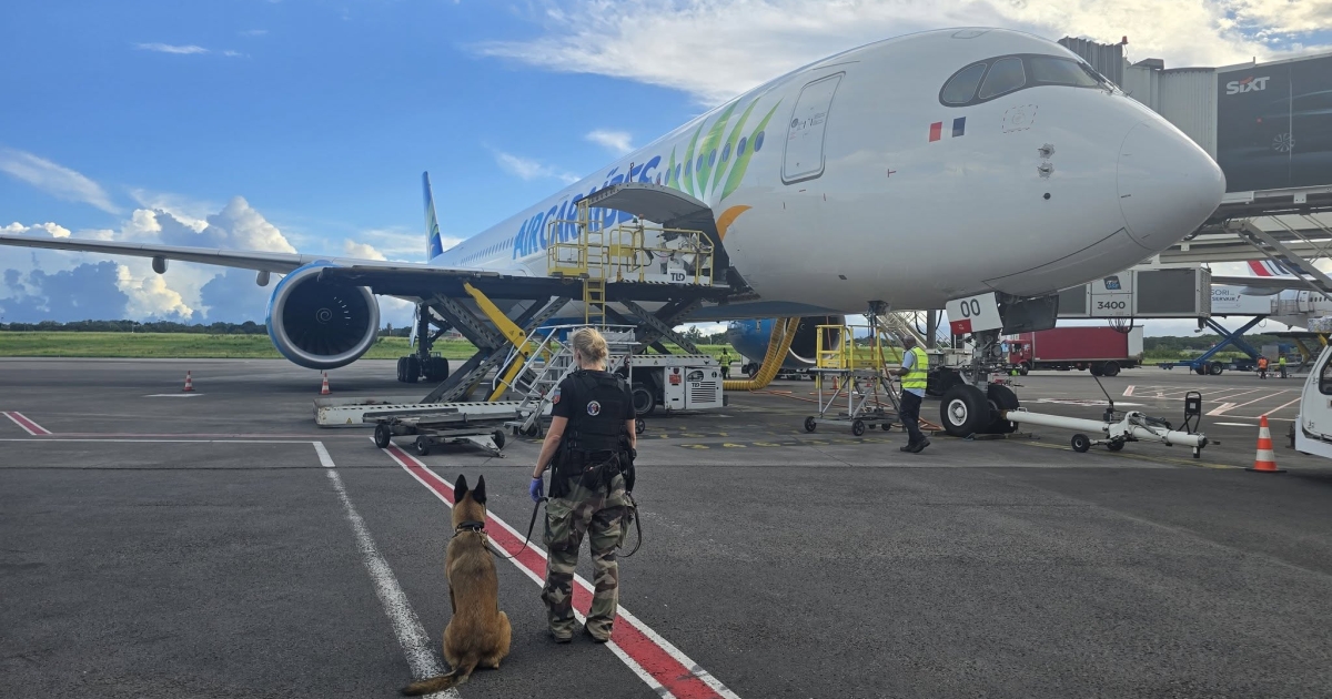     Un chauffeur de poids lourd contrôlé positif à l'aéroport

