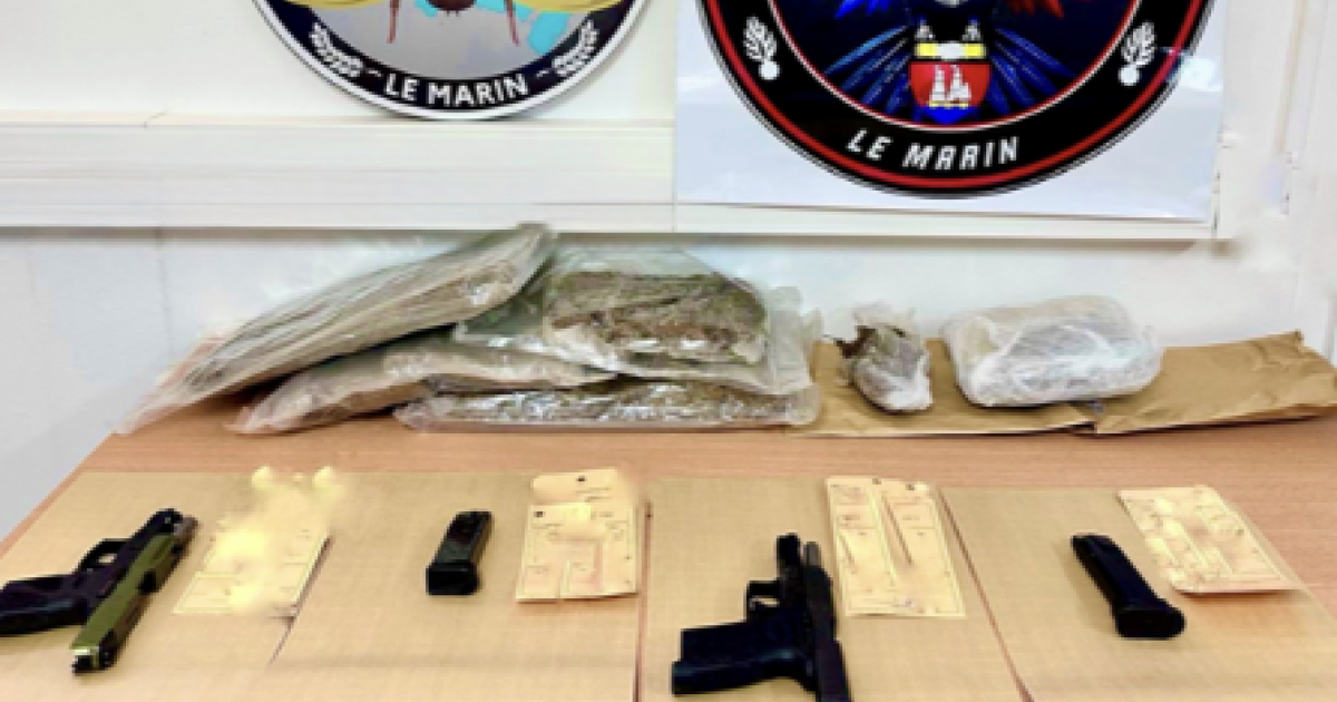     Drogue et armes : jusqu’à 5 ans de prison et 10 ans d’interdiction du territoire pour deux ressortissants sainte-luciens

