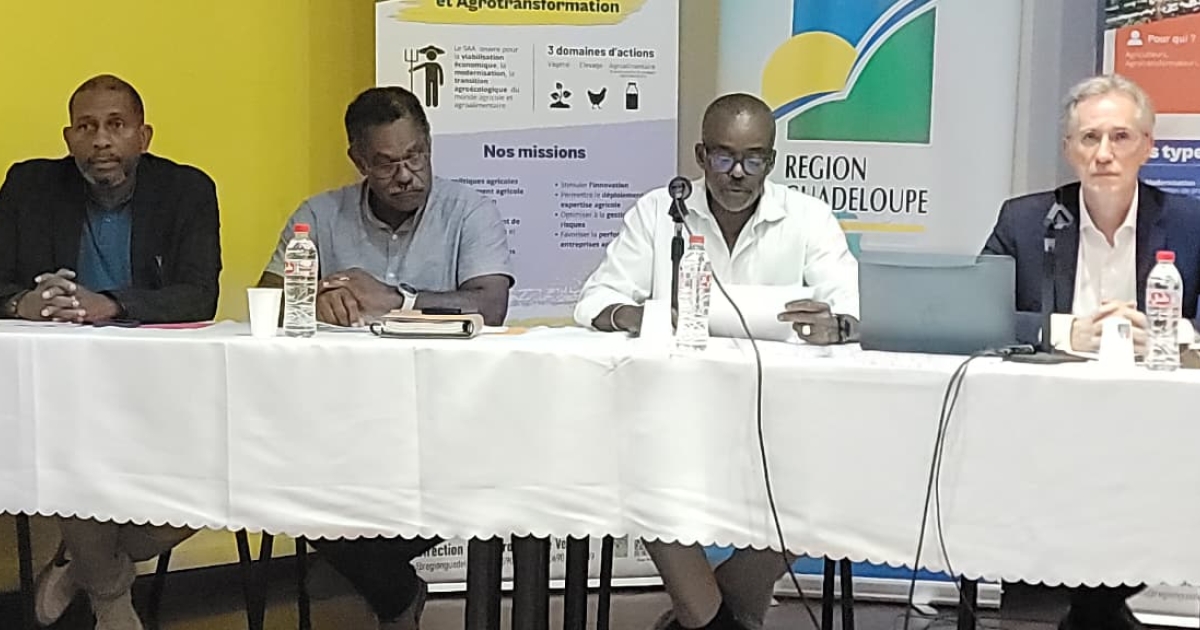     La Guadeloupe face aux menaces sur le POSEI : le monde agricole en alerte

